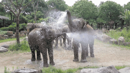 1537338734273879.gif 7.gif