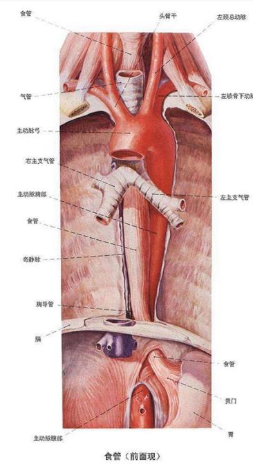 1537411857993039.jpg 1.jpg