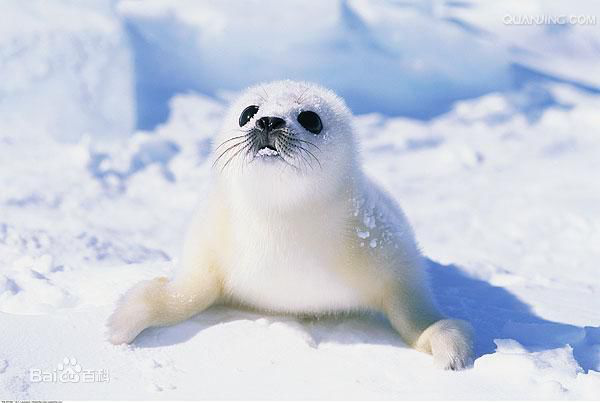 1557887128803938.png 7.png